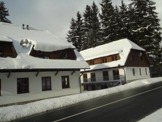 Penzion Dominik - Železná Ruda - 6