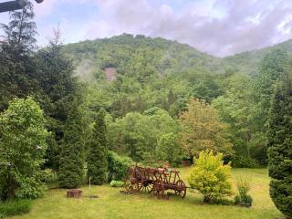 Cottage by the river Valea Draganului - Poeni - 1