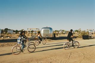 AutoCamp Joshua Tree - Joshua Tree - 1