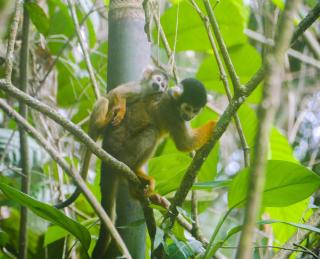 Wandari Lodge - 7