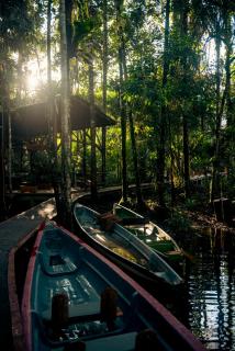 Jamu Lodge - Tarapoa - 8