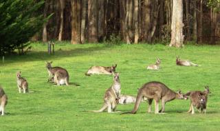 The Retreat at Amryhouse - 2