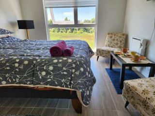 Departamento centro de Valdivia, Los Laureles 270, Isla Teja - Valdivia - 1