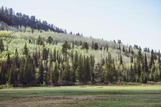 Powder Hound 1 Bedroom Brighton Chalet - Brighton - 5