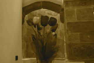 Papparina House - Marsala - 4