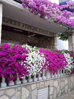 Apartments with parking spaces Sabunike, Zadar - 6258 - Privlaka - 3