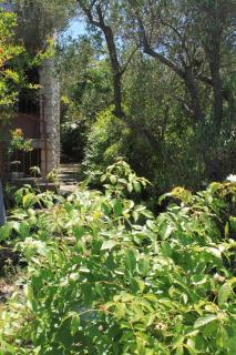 Apartments by the sea Valun, Cres - 386 - Valun - 3