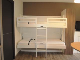 Studio lumineux avec balcon - 4 pers, BBQ électrique, parking couvert, animaux admis - FR-1-198-115 - Châtel - 2
