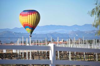 Peppertree Lane Ranch -- Seven-Acre Ranch in the Heart of Wine Country - 9