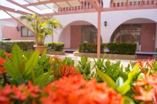 Sasaki Apartments - Palm-Eagle Beach - 7
