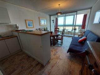 Appartement 2 pièces avec terrasse en front de mer à louer - FR-1-423-181 - 6