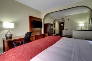 Comfort Suites University - Research Park - Charlotte - 8