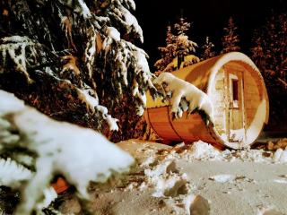 Magnifique chalet avec terrasse, jardin et sauna extérieur - Chapelle-des-Bois - 2