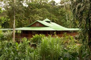Selva Verde Lodge - Sarapiquí - 2