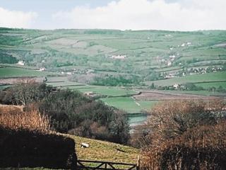 Ashley's - Colyton - 9