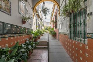 La Casa del Alfarero - Sevilla - 5