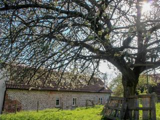 The Cider Barn - Flaxley - 9