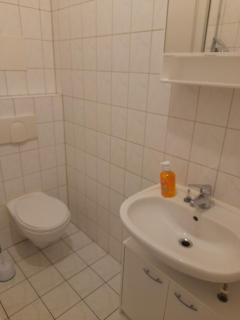Schöne Wohnung für Monteure und sonstige Reisende - Zwickau - 3