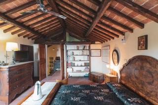 Domus Bononiae - - 2