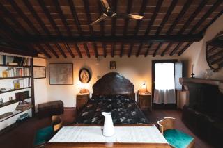 Domus Bononiae - - 1