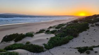 128 @ The Dunes - 1
