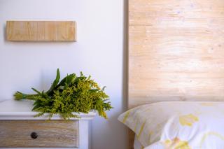 Villa Sofia Bed and Breakfast - 5