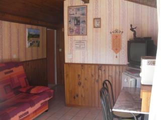 LE CHAMOIS DORT - Die - 4