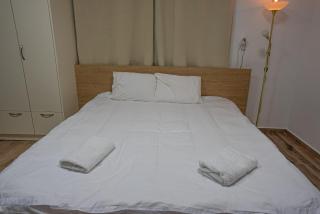 צעד לחרמון- דירת 2 חדרי שינה וסלון במג'דל שמס - 3