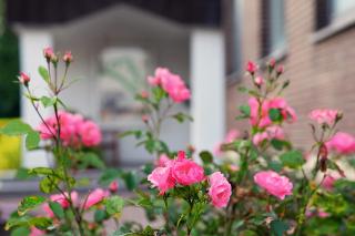 Hotel Am Steinberg - 8