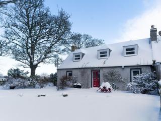 Garden Cottage - Tain - 5