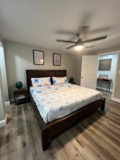 Peaceful getaway and Explore Tampa - 8