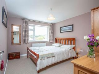Driftwood Cottage - Galmpton - 9
