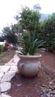 VILLA TREROSE by Trerose Properties - Villa centrale con wi-fi e posto auto privato gratuiti - San Vito Lo Capo - 3