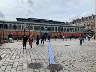 Magnifique studio - en hypercentre et rue piétonne - 1er Adrien Du Bouché - Limoges - 1