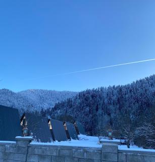 Landhaus Borjomi - 6