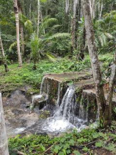 Chalés da Floresta - Porto Seguro - 3