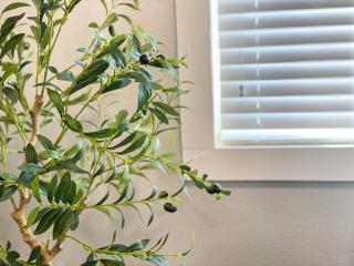 Country Living-harrison Ranchhr3 - Visalia - 1