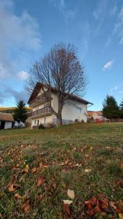 Kupres Desktop - mountain house - Kupres - 8