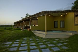 Asiatic Lion Lodge - 1