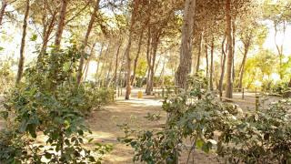 Villaggio Camping Sentinella - Torre dell'Orso - 6
