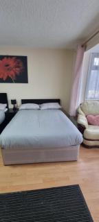 Star Homes - Londra - 2