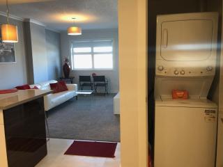 Amicable, Cozy, High Speed Internet, Sleeps 2 Riverview Downtown Apartment - 6
