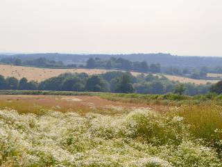 Cornbrash Farm Cottage - Dallington - 1