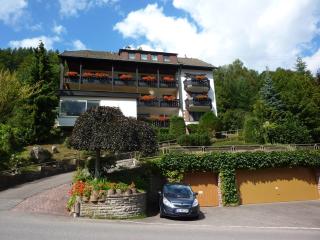 Atina Hotel - Bad Wildbad - 5
