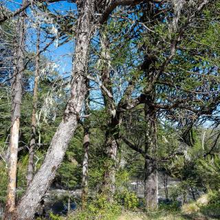 Los Cantos del Agua - 4