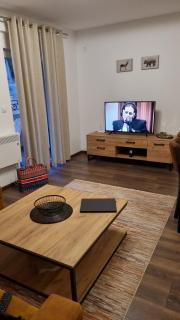 Zlatar Holidays Apartmani - Nova Varoš - 9