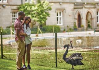 Calthwaite Hall Lodges - Calthwaite - 8