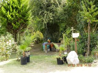 ALOJAMIENTO SERRANO BIS - 2