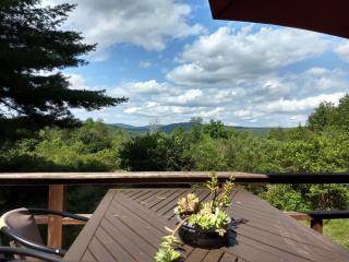 Catskills tiny house cabin - 1