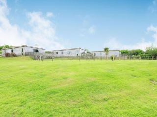 Foxglove Lodge - Holsworthy - 7